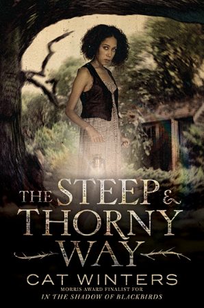 THE STEEP AND THORNY WAY by Cat Winters